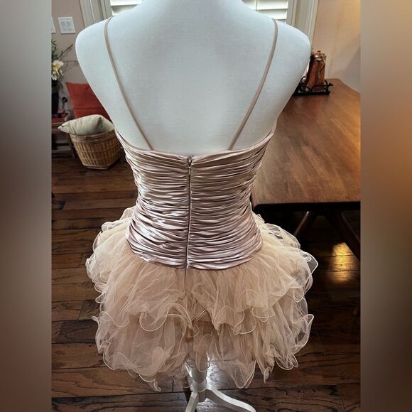 Sherri Hill Beaded Tulle Mini Dress Nude Taupe Rhinestone Corset Size 8 Glam - Picture 13 of 16